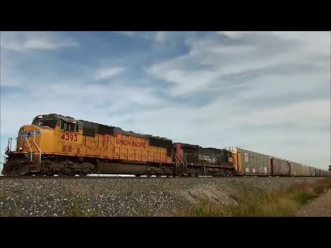 Shave and a Hair Cut, Southern Pacific Trail Fail CSX GP38-2 Run 8 Q559