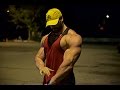 CHEST AND TRICEPS | Full Routine