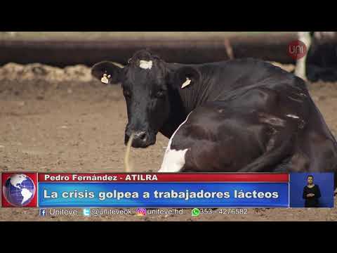 Trabajadores de la industria láctea en alerta