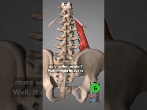 How To Fix A TIGHT Low Back!🤯