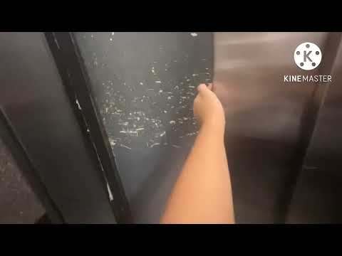 ￼Montgomery Hydraulic ￼Swing Door Elevator Camden Village Apartment Fremont￼, CA