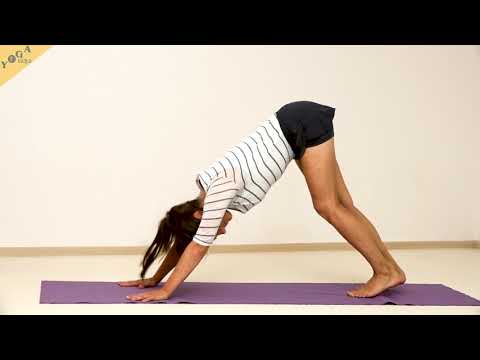 Muskeln stärken für den Kopfstand - Yoga Asana Lexikon