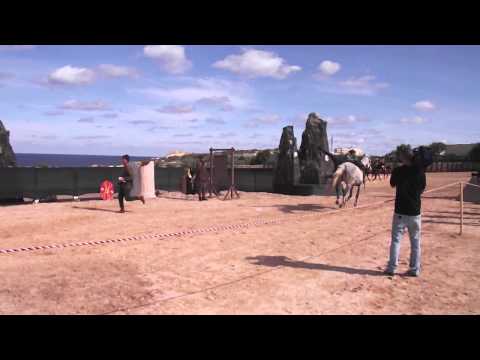 EQUUS Horse trick riding at Fort Rinella