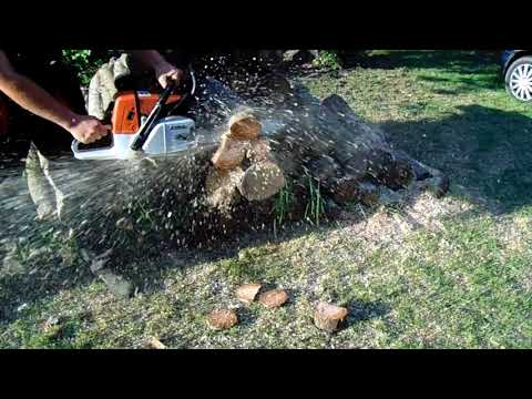 Stihl 064 chainsaw cutting test