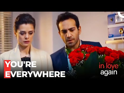 Grumpy And Sweet Lovers - In Love Again Special Scenes