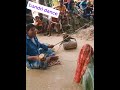 Monkey Ka Bhangra Funny Punjabi Dance Video Funny Monkey Dance Funny Bandar Mdari Punjabi