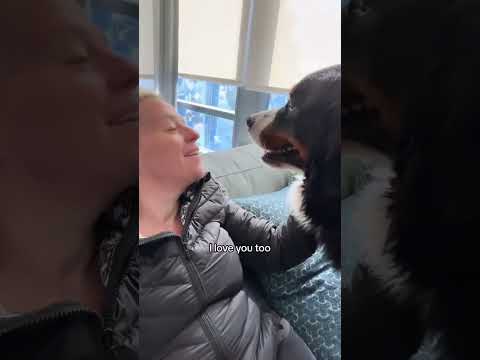The only acceptable response to face kisses.
