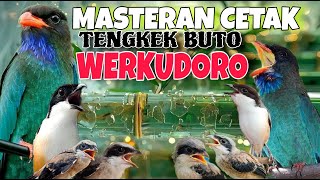 Download lagu TENGKEK BUTO WERKUDORO!! MASTERAN CENDET JUARA NASIONAL FULL TEMBAKAN TENGKEK BUTO PANJANG KEKINIAN mp3 Download lagu TENGKEK BUTO WERKUDORO!! MASTERAN CENDET JUARA NASIONAL FULL TEMBAKAN TENGKEK BUTO PANJANG KEKINIAN mp3