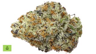 Should You Try OREOZ Strain  - Stats, Review, Effects - (STRAIN REVIEW)