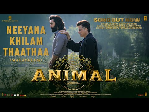 ANIMAL (Malayalam) Neeyanakhilam Thaathaa: Ranbir K, Rashmika | Madhu Balakrishnan | Sandeep Reddy V