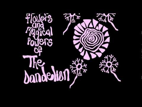 The Dandelion - In the Shadow of Light