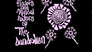 The Dandelion - In the Shadow of Light