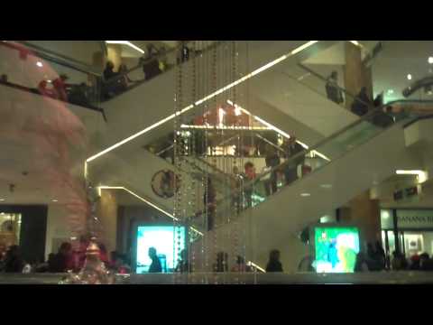 Busy Modernized Otis Traction Glass Elevators - Water Tower Place - Chicago, IL