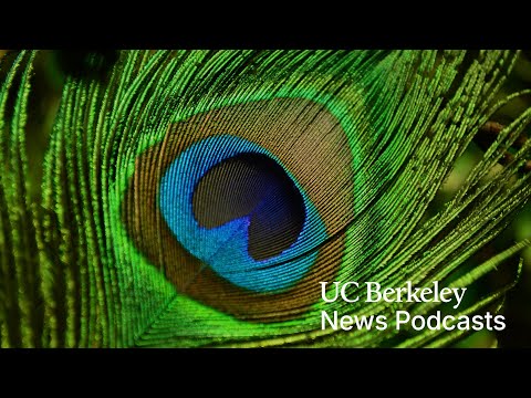 How new color 'olo' stretches the limits of human perception