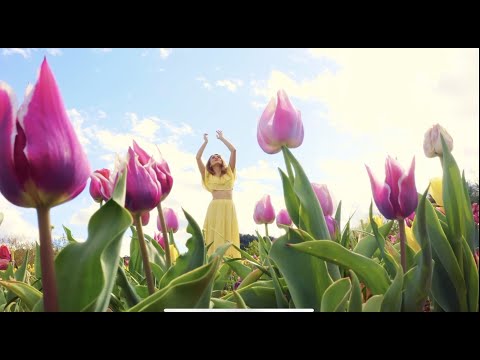 Marina Tuset - Canto a la Imaginación