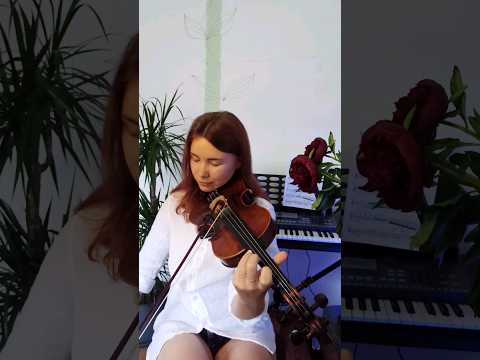 Por una cabeza (violin) #violin #acousticguitar #violincover #violinandguitar #tango #acoustic