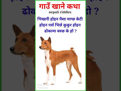 Gau khane katha easy | gau khane katha with answer | funny questions | #shortsfeed #ytshorts