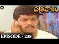 Episode 238 Chakravakam Telugu Daily Serial