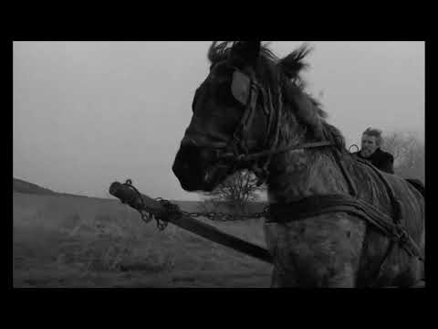 The Turin Horse (2011) - Opening Scene
