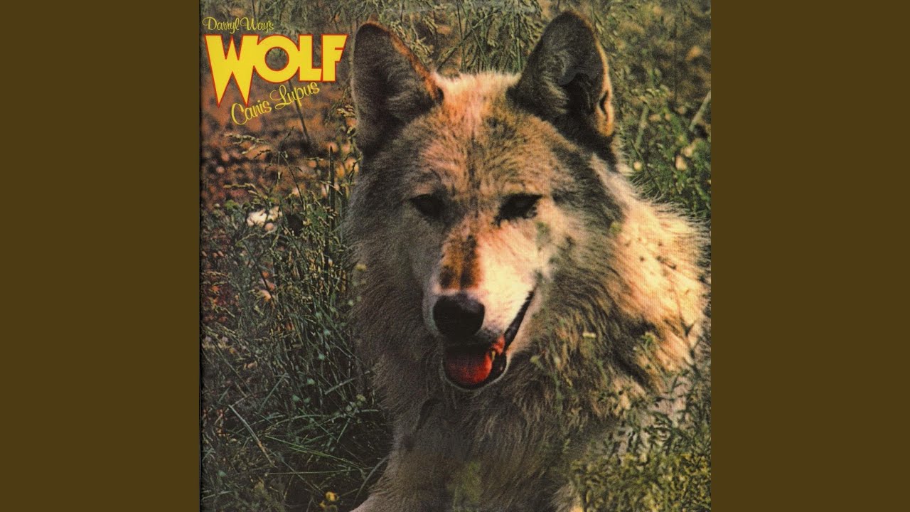 Wolf - YouTube