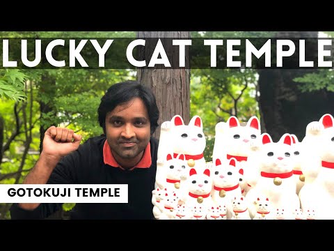Maneki-Neko - Indian in Japan travel to Maneki-Neko Temple | Indian in Japan | Travel Vlog