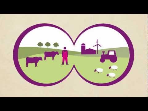 Making your milk sustainable - a vision for a sustainable dairy industry