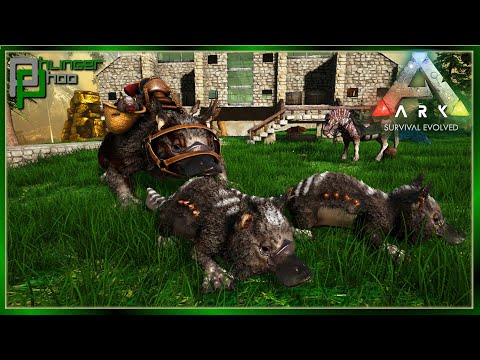 Breeding the Perfect Maewing for getting ALL the LOOT Ark Svart 26