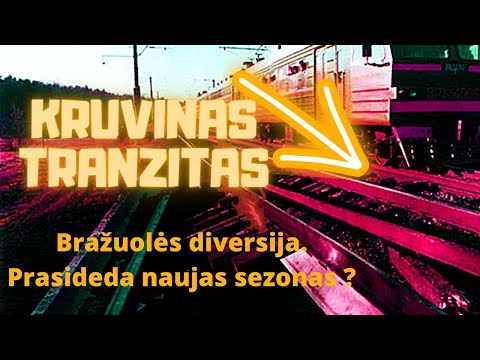 Provokacijos Kaliningrado pasienyje: Bražuolės košmaras grįžta