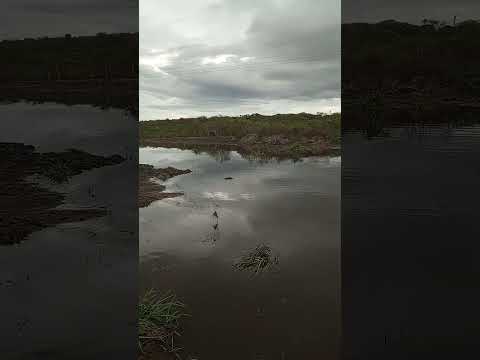 Deus poderoso tempo de muita chuva na zona rural de Jucati Pernambuco