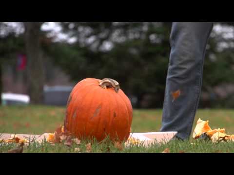 CLC Videographers Shoot for the Stars