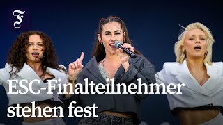 Vorfreude auf das ESC-Finale in Wien steigt