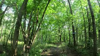 Part of the New Island Trail.