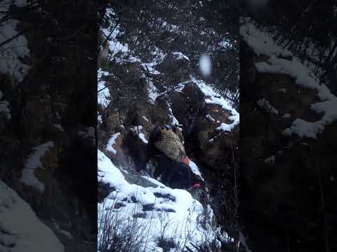 Surveying at snowy landscape thumbnail