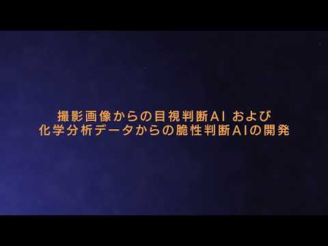 理工学類・廃炉研究２
