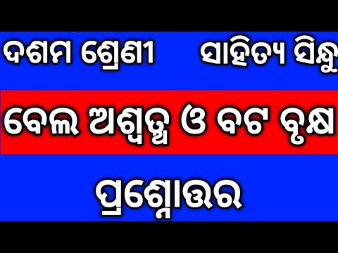 Bela Aswattha o bata Brukkhya | Odia Story | 10th Class Sahitya Sindhu | ବେଲ ଅଶ୍ୱତ୍ଥ ଓ ବଟ ବୃକ୍ଷ |