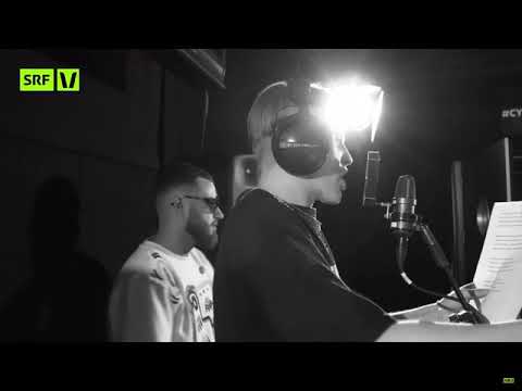 Cinnay ´BARSˋ SRF Virus