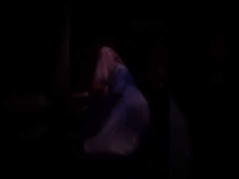 Disneyland paris phantom manor 2024 (very dark)