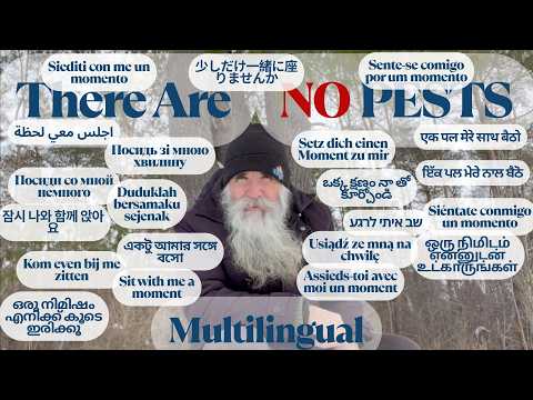 Beyond Pests: Growing Food with Wildlife (Multilingual)