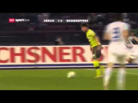 Izet Hajrovic AMAZING Goal vs FCZ