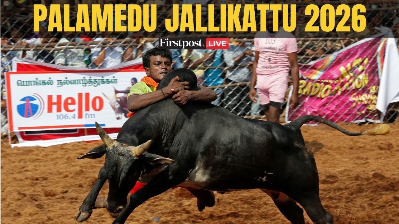 Palamedu Jallikattu 2026 LIVE: Pongal Bull Taming from Madurai | Jallikattu LIVE Visuals | Firstpost