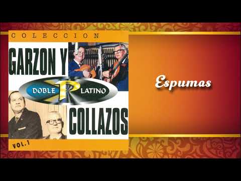 Espumas - Garzón Y Collazos | Música Colombiana | Música Colombiana Tradicional | Cover Audio