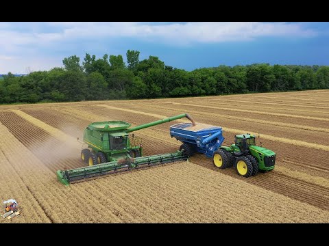 2020 Winter Wheat Harvest near Arcanum Ohio