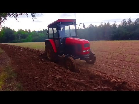 Orka pod siew pszenicy