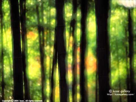 download lagu mp3 mp4 Wenzel Templeton Robert Pegg Hoppipolla, download lagu Wenzel Templeton Robert Pegg Hoppipolla gratis, unduh video klip Wenzel Templeton Robert Pegg Hoppipolla