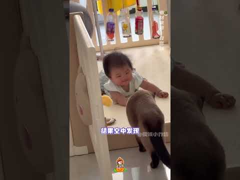 合着我家猫每天早上踩我都是故意的#猫咪 #动物的迷惑行为 #搞笑 #离谱  #万万没想到