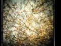 Horse Feathers - Cascades