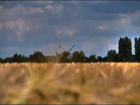 Natuur om en rond Lievegem part one