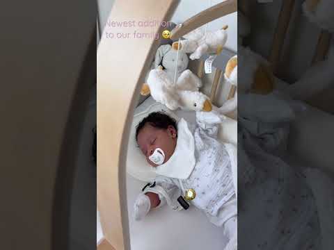 We want to introduce to you all our little Angel whom we named Sancia #shortsvideo #shorts #explore