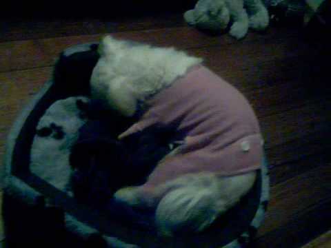 missy banging her blanket