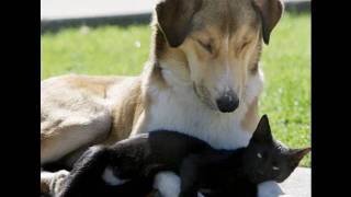 &quot;To The Ends Of The Earth&quot; (Nat King Cole)